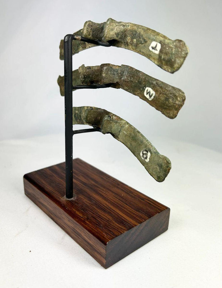 Warring States to Han Dynasty bronze chariot fittings with rear hooks