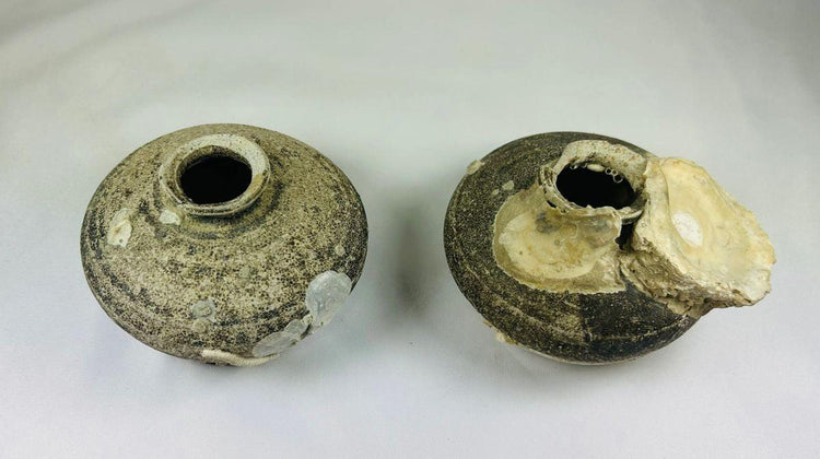 Philippine shipwreck Ming dynasty stoneware jarlets, 15th–16th century CE, brown glaze, encrusted with barnacles