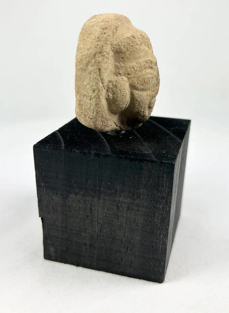 Near Eastern terracotta head fragment with defined beard and coiffure