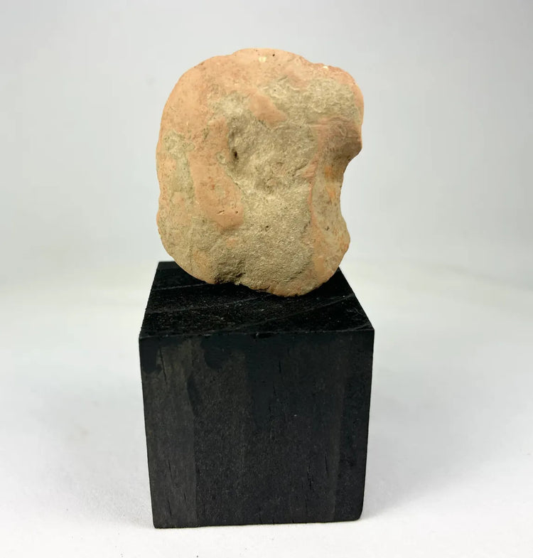 Gandharan terracotta fragment mounted on black display base
