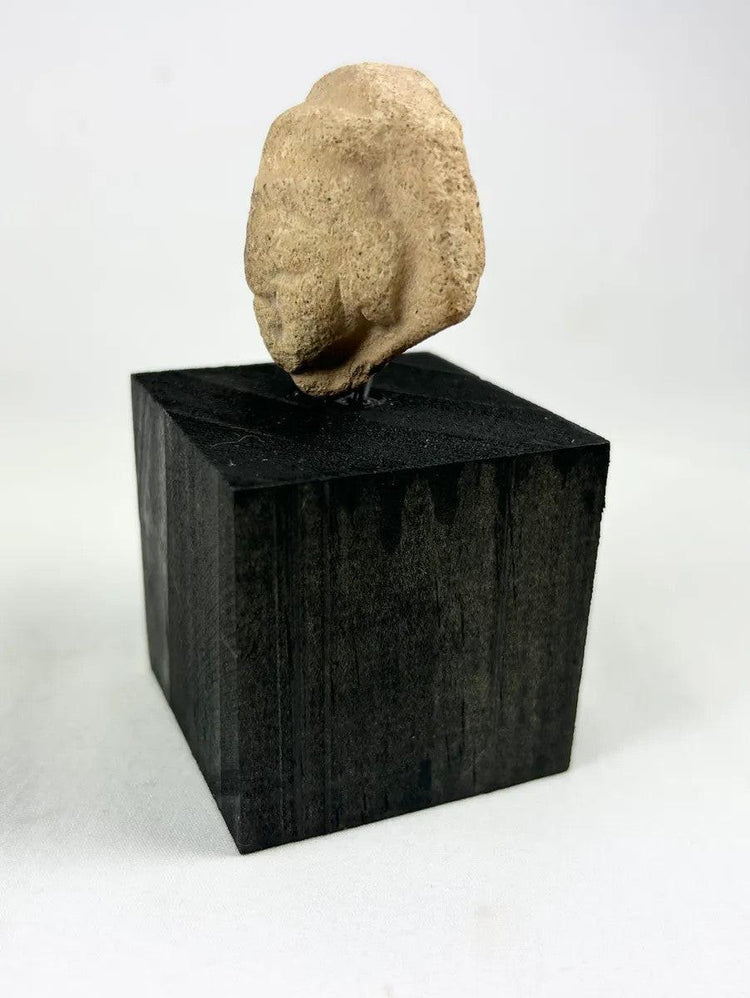 Angled view of a bearded male terracotta head fragment from the ancient Near East