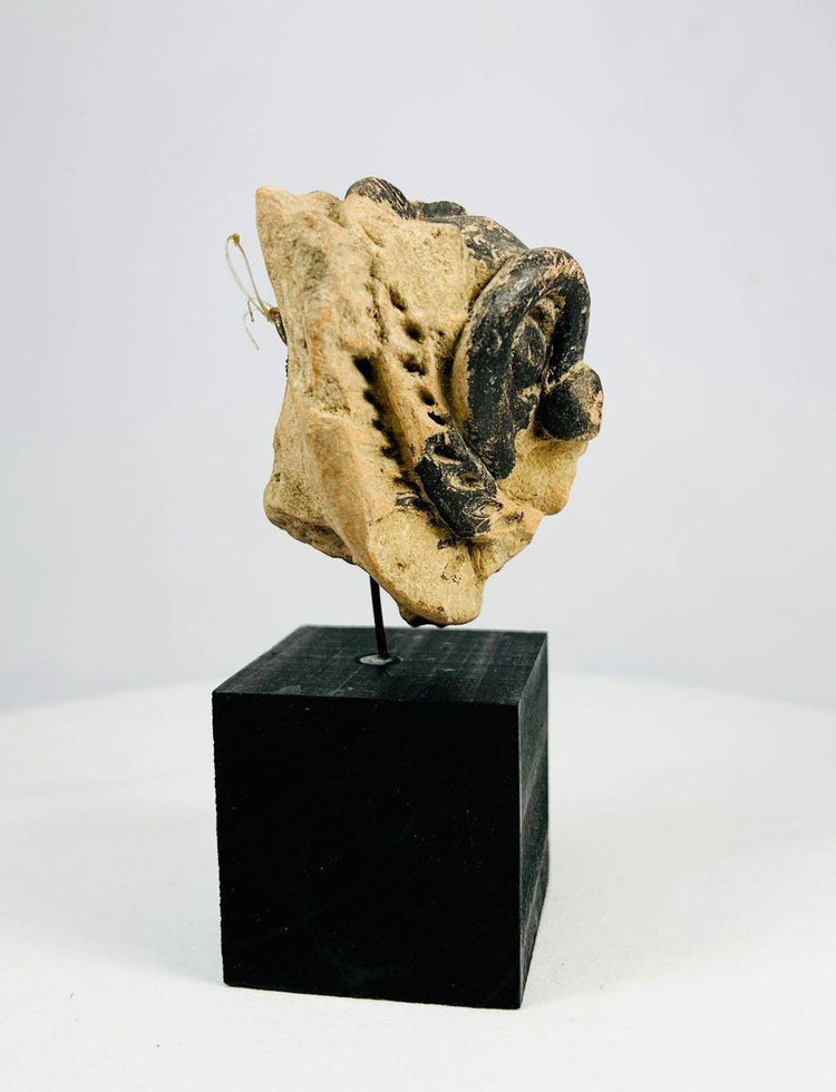 Ancient terracotta mask fragment featuring incised patterns and snout detail