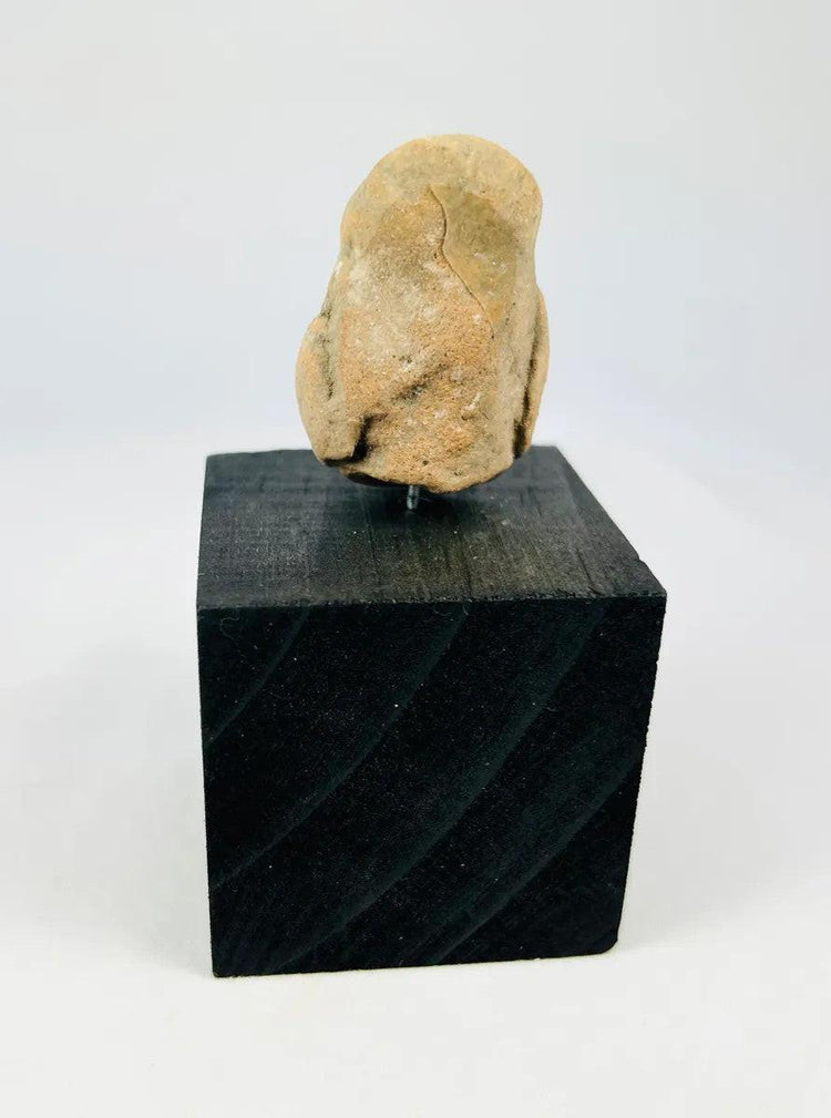 Rear view highlighting surface texture of a Mesoamerican terracotta head fragment