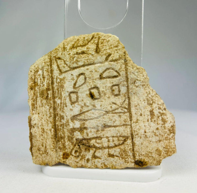Close-up photo of Egyptian limestone showing detailed hieroglyphic symbols from the Late Period.