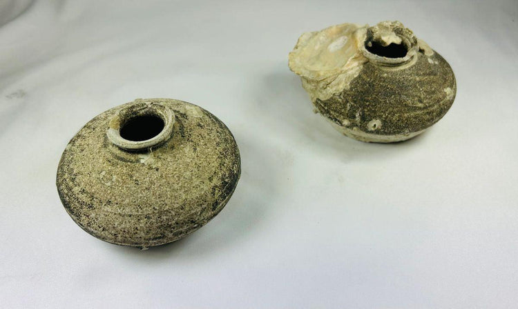 15th–16th century Ming dynasty jarlets from Philippine shipwreck, discoid stoneware with barnacle and mussel encrustations