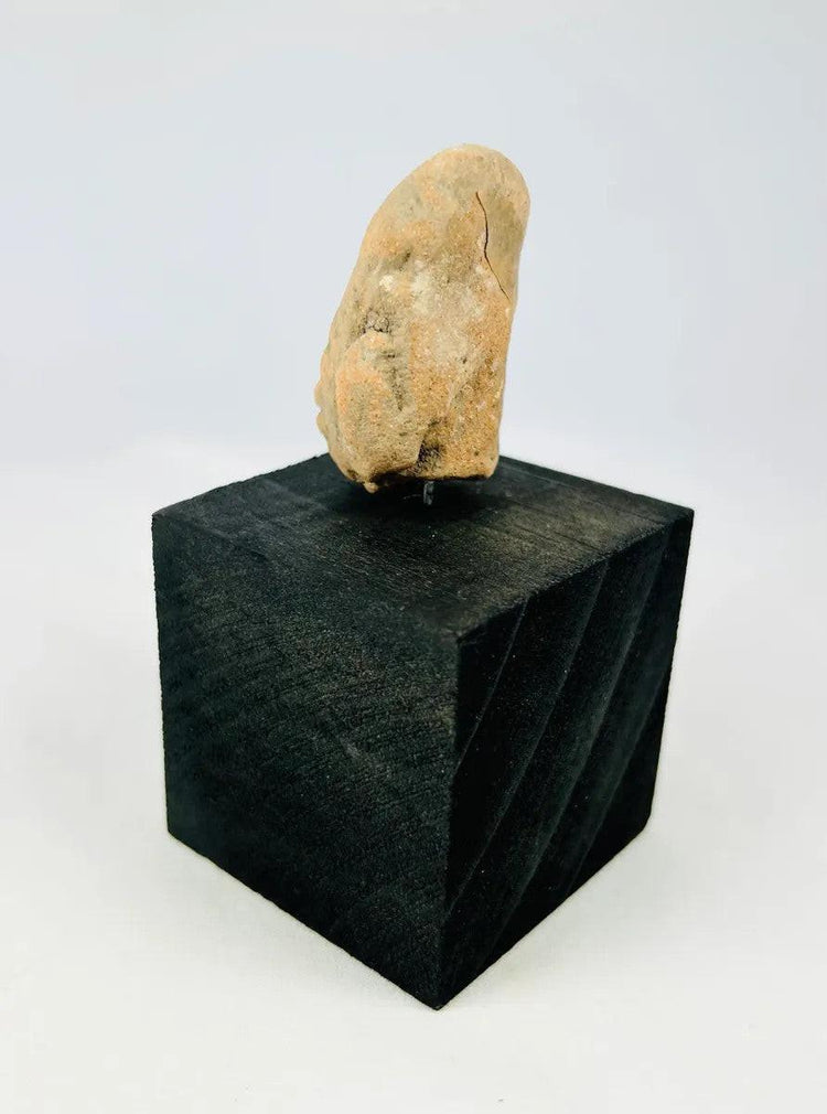 Side profile view showing cranial form of a Pre-Columbian terracotta head