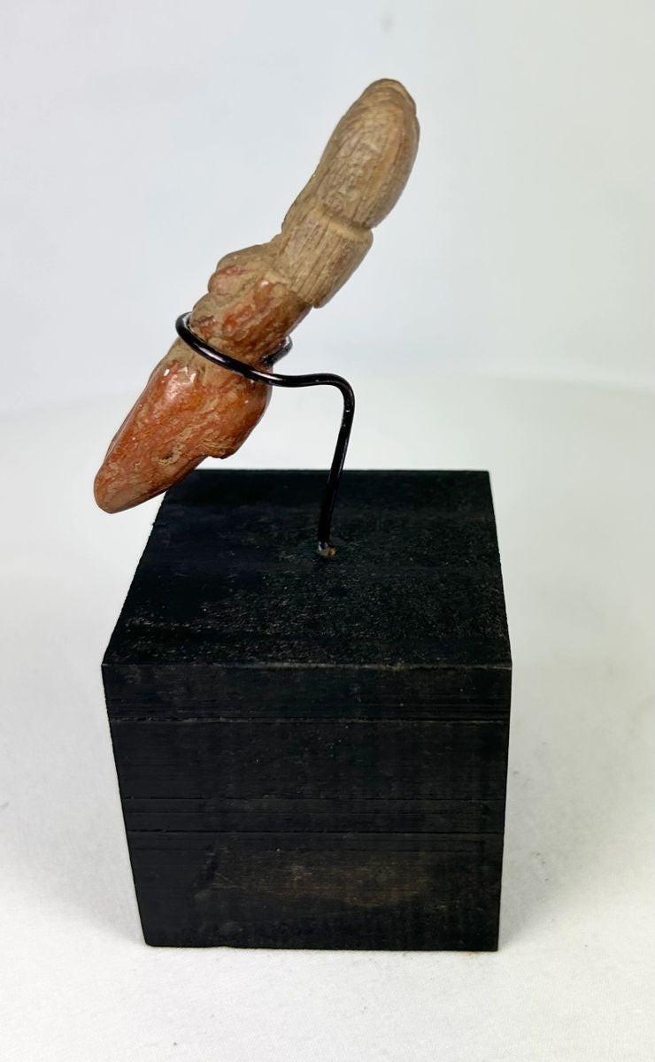 Ritual female figurine from Veracruz culture showing fertility symbolism and red slipv