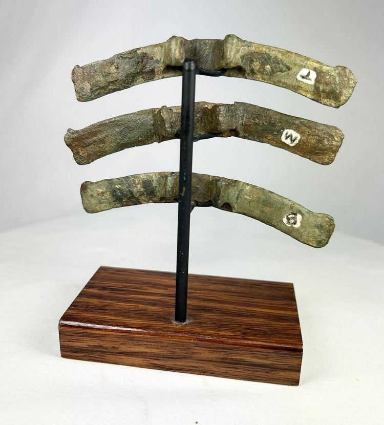 Ancient Chinese bronze chariot fittings 475 BCE–220 CE with green patina