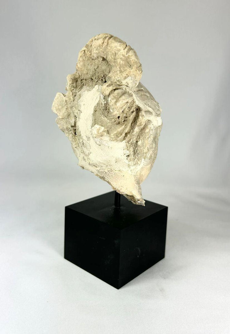 Authentic stucco Buddha head fragment, Southeast Asia, 12th–13th century, serene expression and partial halo