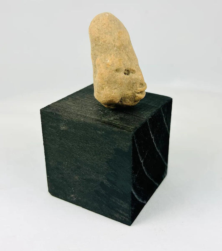 Detail of sculpted facial modeling on an ancient Mesoamerican terracotta head