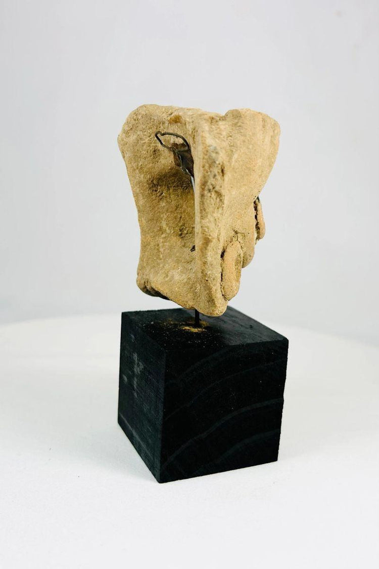 Ancient Mesoamerican ceramic head with finely modeled facial features