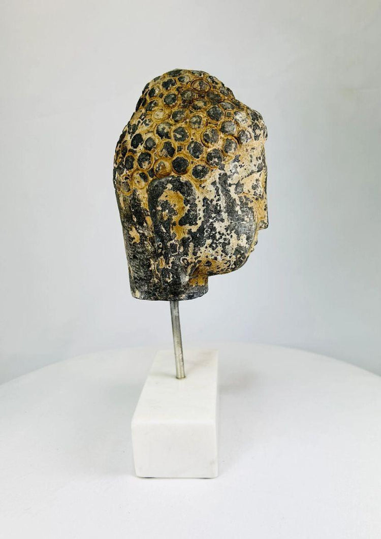 Southeast Asian Buddha head serene expression curled hair marble base