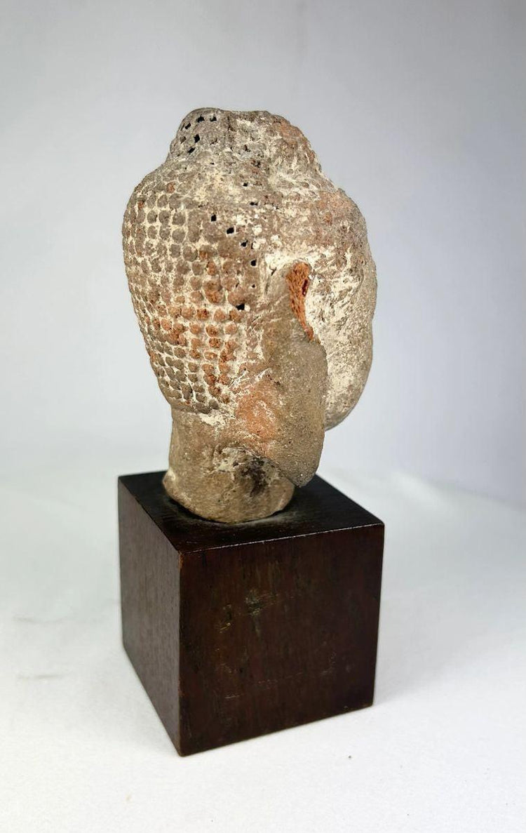 Ancient terracotta Buddha head with pronounced ushnisha and meditative expression