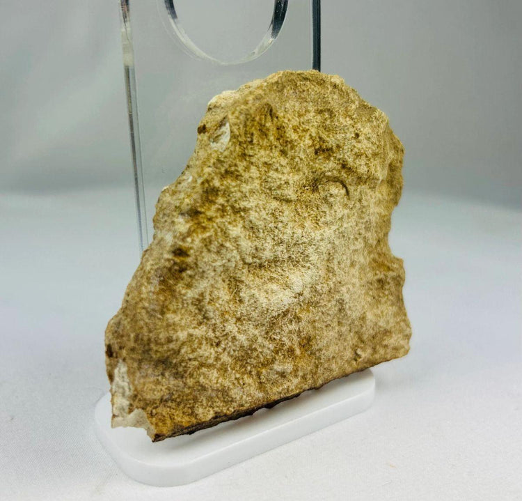 Museum-style display of Late Period Egyptian limestone fragment with carved inscriptions.