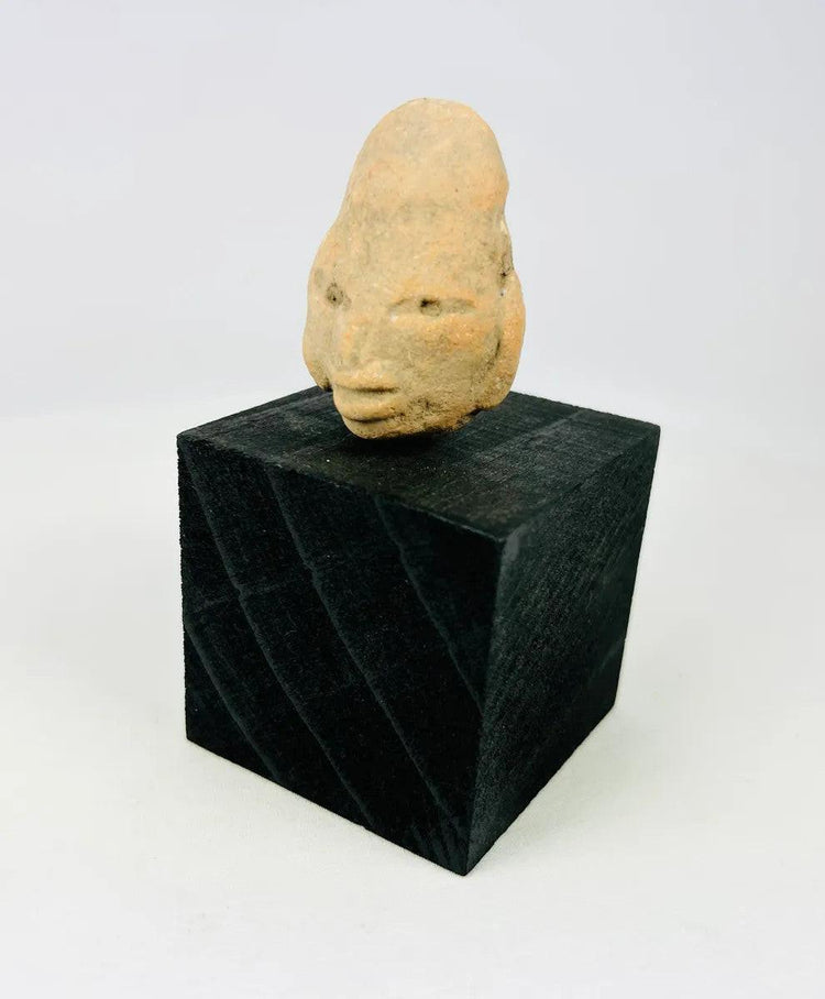 Front view of a West Mexican terracotta head fragment on display stand