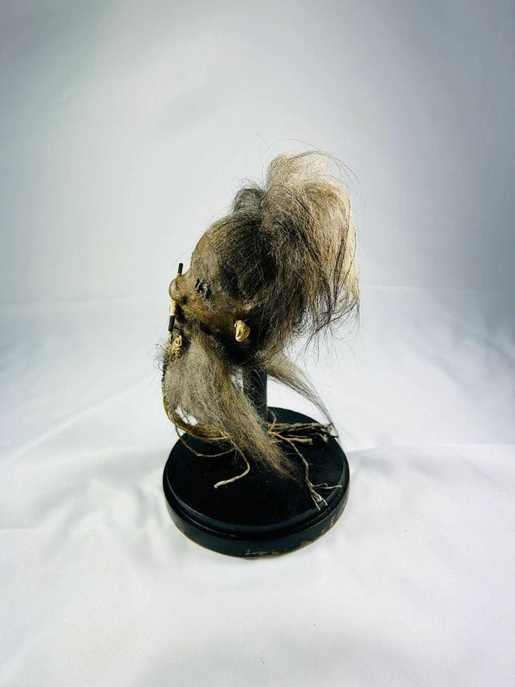 Anthropological replica tsantsa shrunken head made of stitched animal hide and real horse hair, presented in a protective glass display case