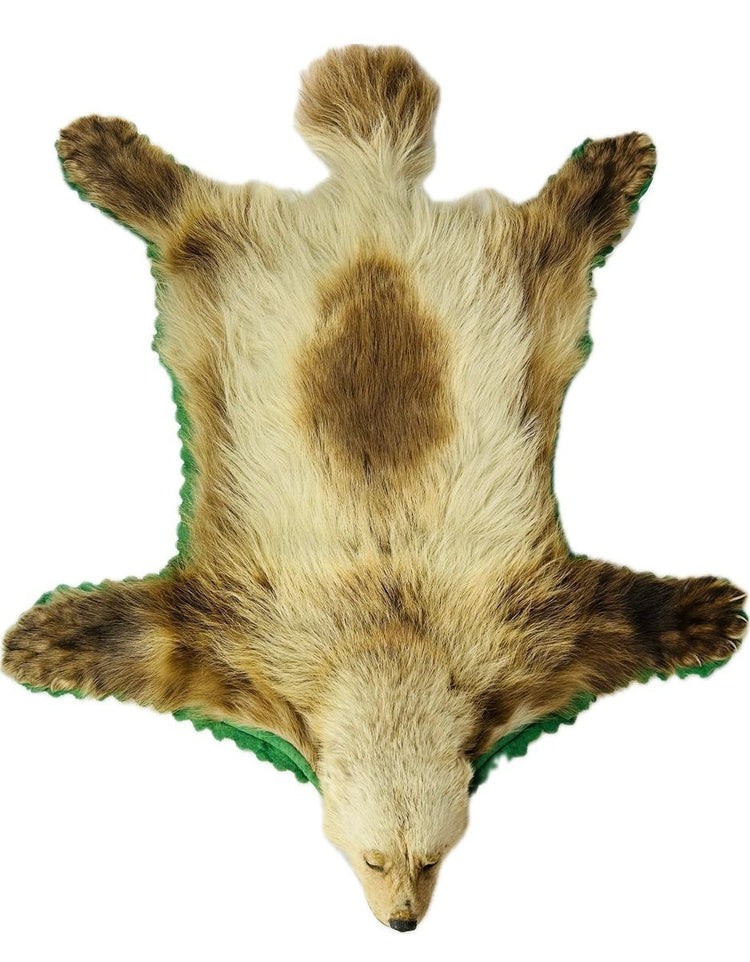 Top-down view of early 20th-century wolverine taxidermy rug showing full preserved hide, head, limbs, and distinctive fur markings on white background – Relic and Rarity.