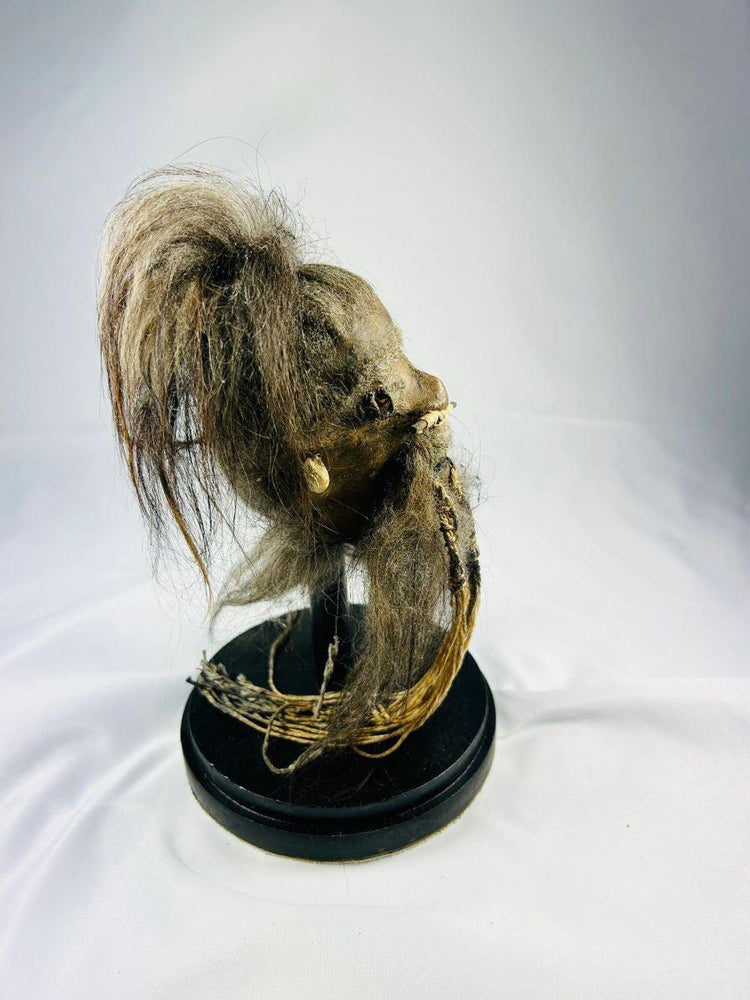 Cultural replica shrunken head inspired by Amazonian Jivaroan rituals, handcrafted from animal hide with lifelike stitching and display globe.