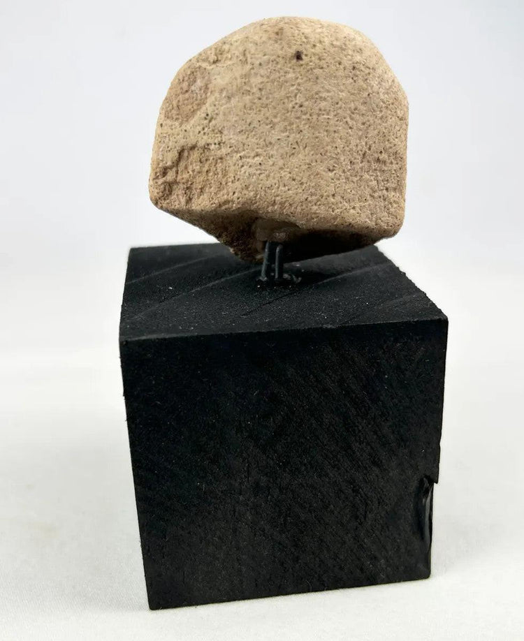 Detail view showing age-related wear on a Near Eastern terracotta head fragment