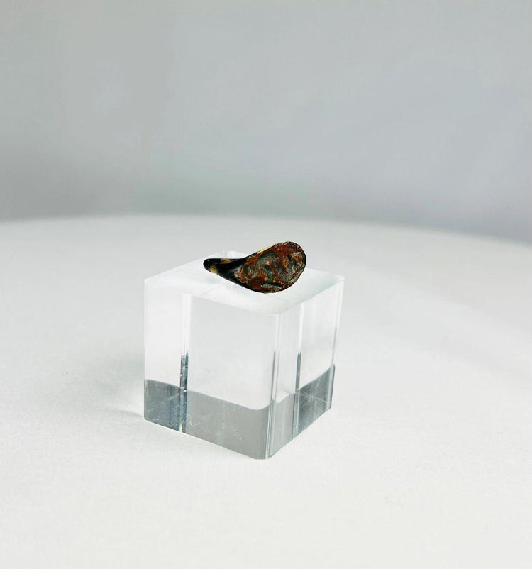 Antique ring showcasing cultural significance and detailed bronze craftsmanship