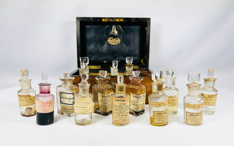 Victorian apothecary chest with labeled bottles Arnica Montana Belladonna Bryonia Alba