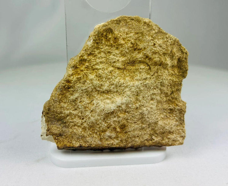 Rear view of limestone fragment showing natural stone patina and historical wear.