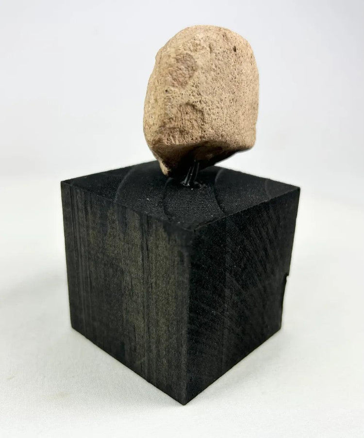 Side profile view showing sculpted hairstyle on a terracotta head fragment