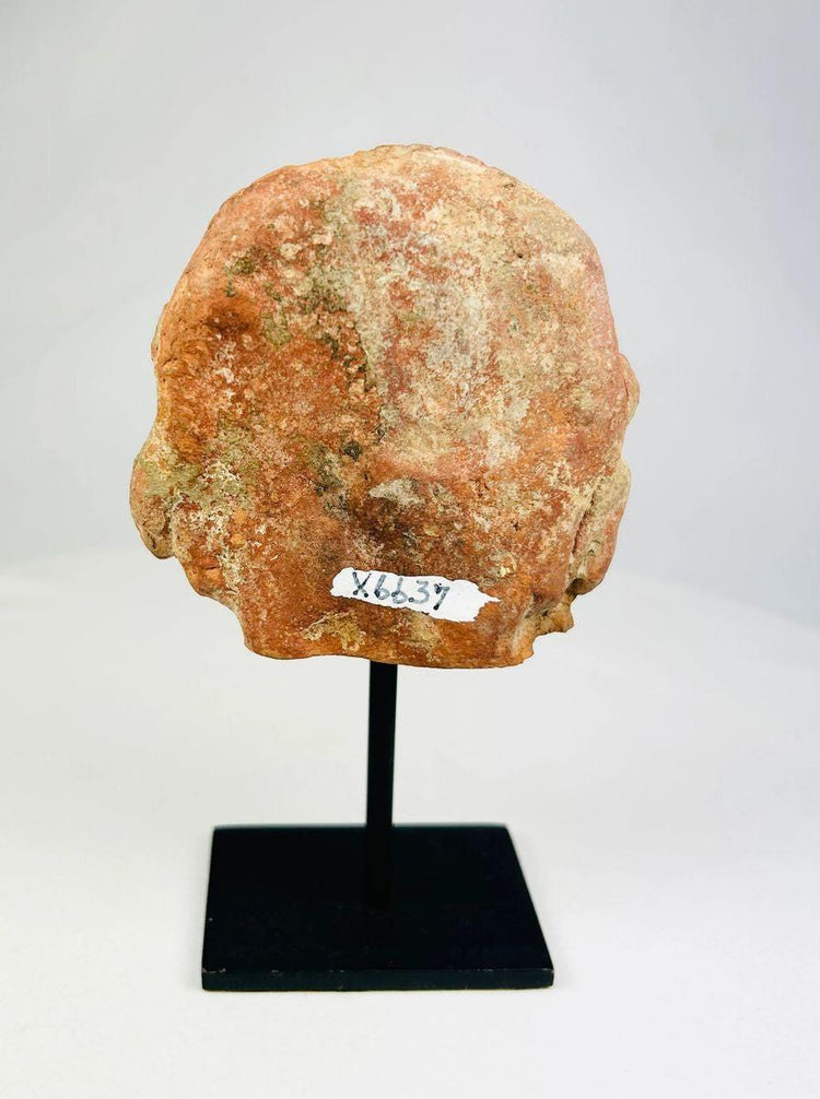 Museum-style photograph of a Shunga period red clay terracotta head from ancient India