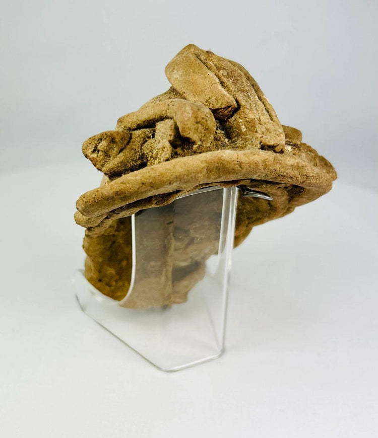 Ancient Mesoamerican terracotta clay head with detailed facial features and headdress