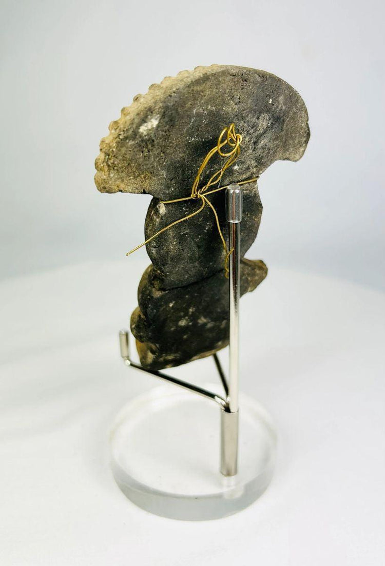 Rear view highlighting the hand-modeled terracotta construction of a Pre-Columbian figurine