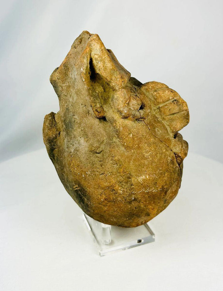 Valdivia–Chorrera ceramic head vessel fragment 1000–300 BCE