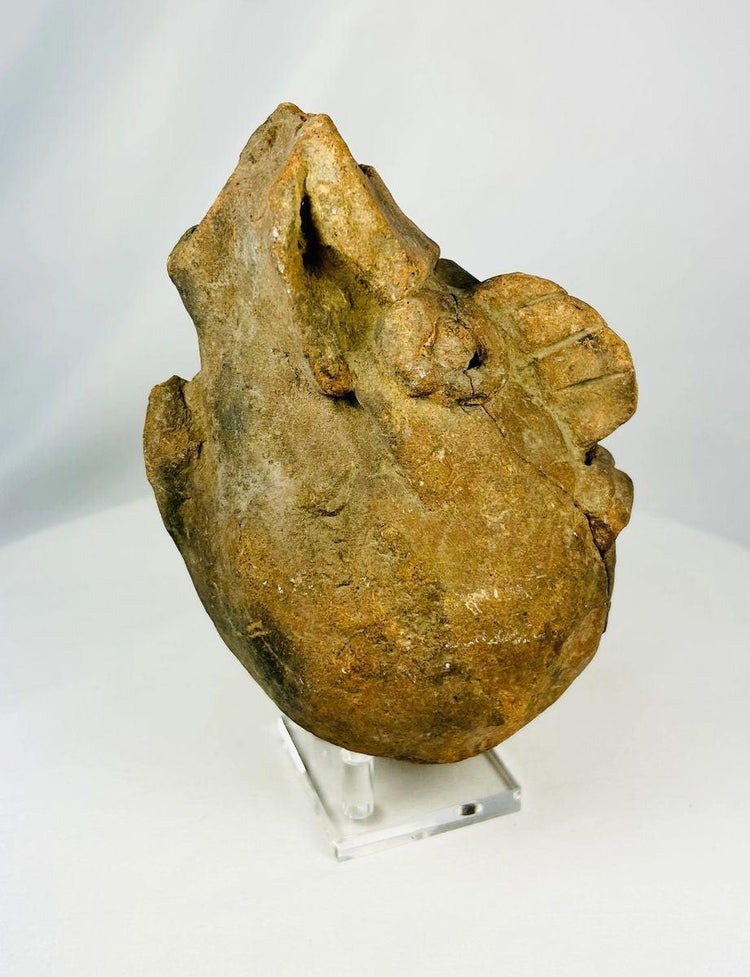 Valdivia–Chorrera ceramic head vessel fragment 1000–300 BCE