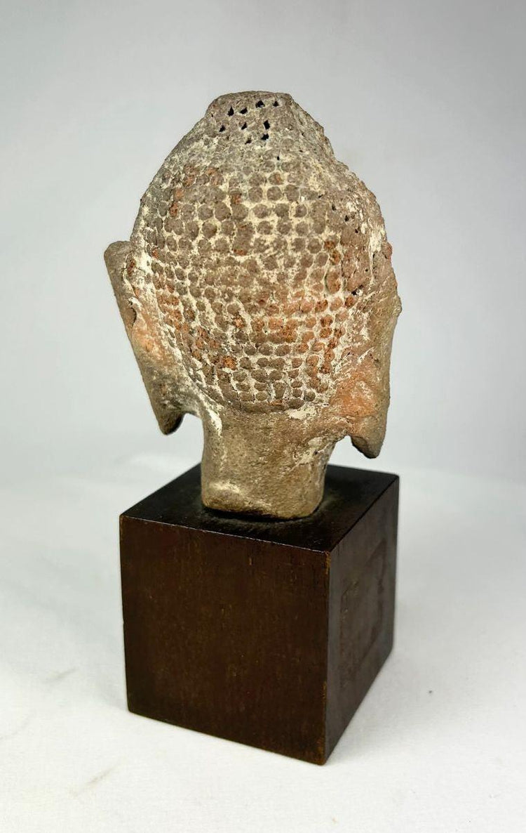 Terracotta Buddha head with dot-patterned hair and calm facial features, 5th–10th century