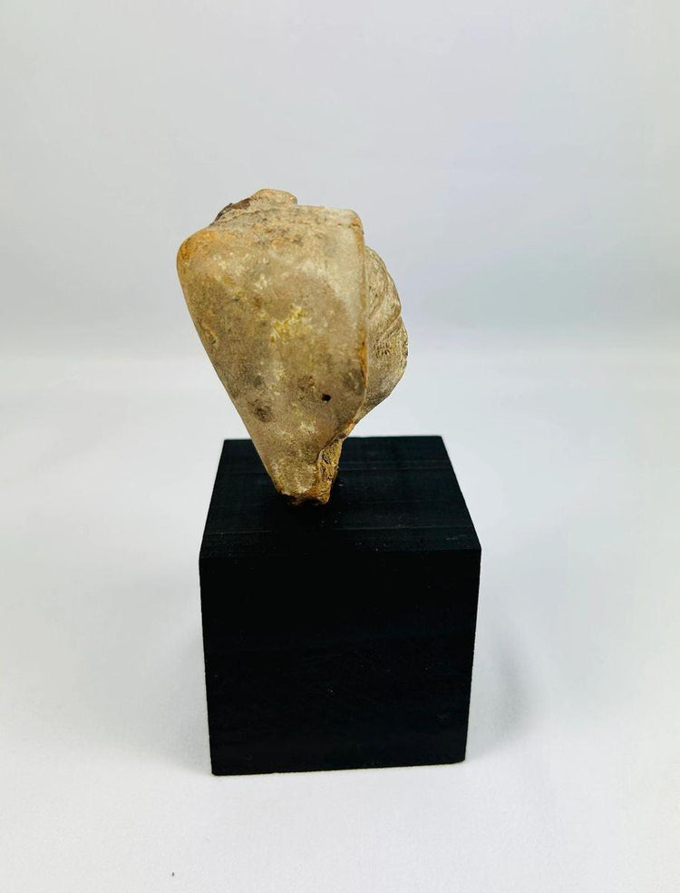 1st millennium BCE–CE terracotta head reflecting classical ideals of beauty and spirituality