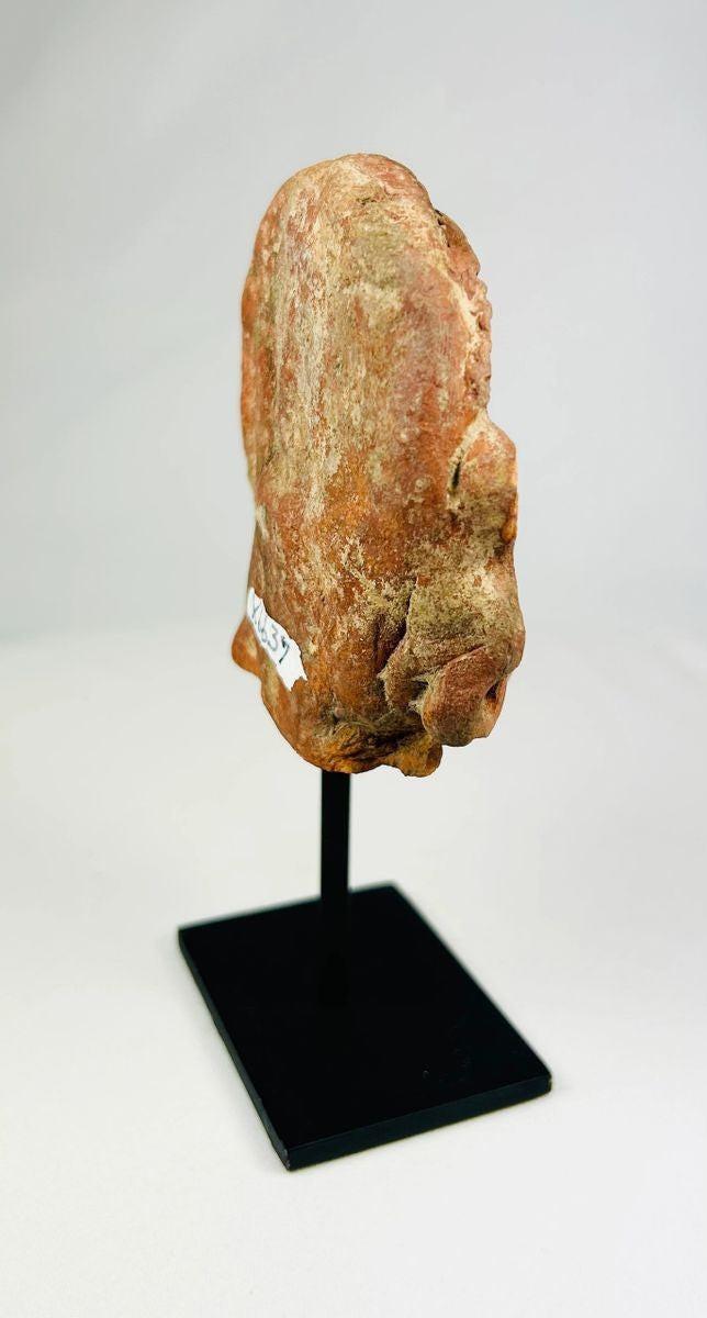 Side profile of a Shunga period terracotta head highlighting sculptural form and proportions