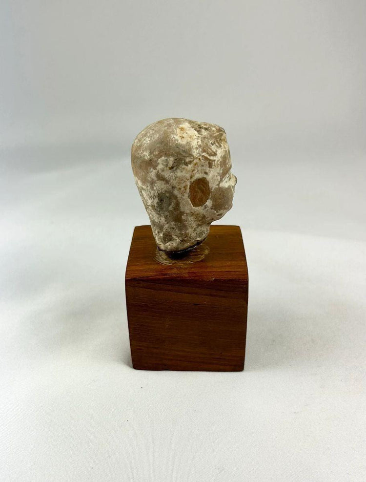 Side profile of Greco-Roman terracotta sculpture fragment mounted on a wooden display base.