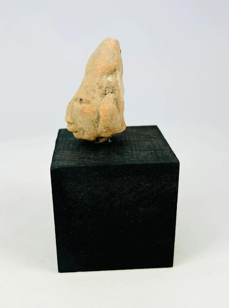 Pre-Columbian terracotta head attributed to the Nayarit–Jalisco region