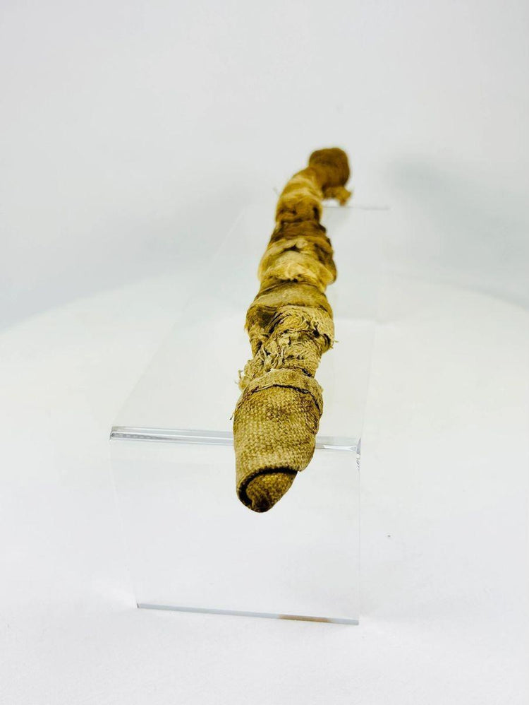 Ancient Egyptian Mummified Crocodile | X-Ray Verified | Authentic Animal Votive Offering | 664–100 BCE