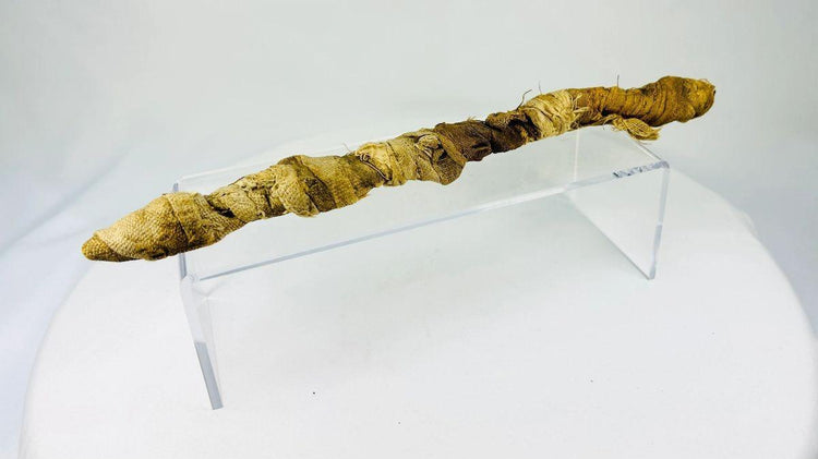 Ancient Egyptian Mummified Crocodile | X-Ray Verified | Authentic Animal Votive Offering | 664–100 BCE