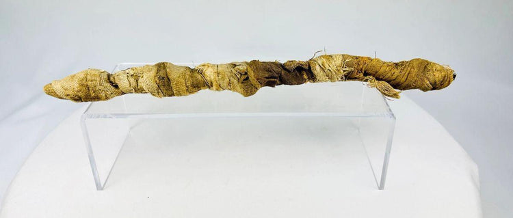 Ancient Egyptian Mummified Crocodile | X-Ray Verified | Authentic Animal Votive Offering | 664–100 BCE