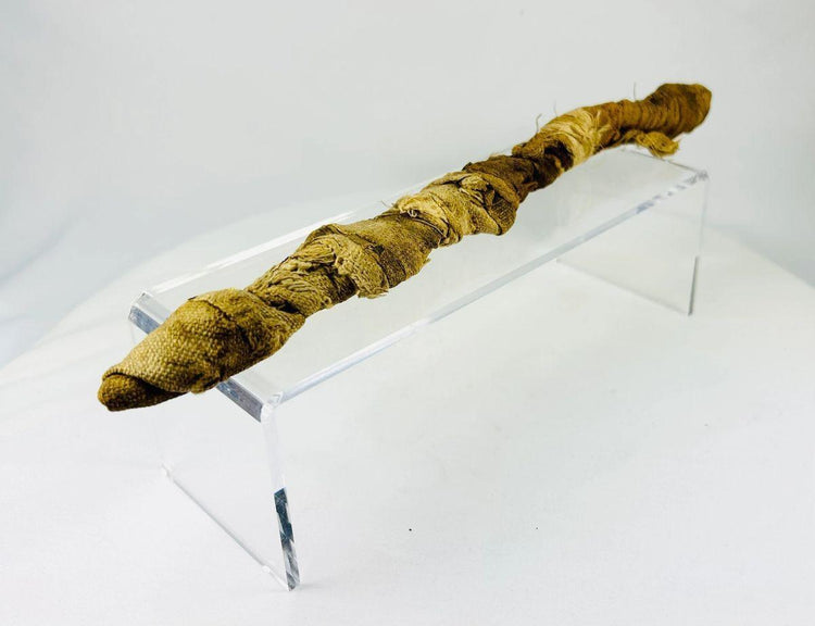 Ancient Egyptian Mummified Crocodile | X-Ray Verified | Authentic Animal Votive Offering | 664–100 BCE