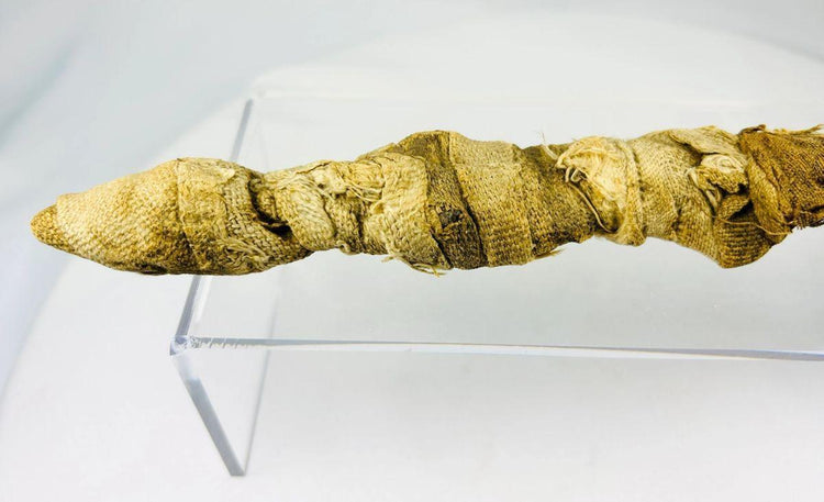 Ancient Egyptian Mummified Crocodile | X-Ray Verified | Authentic Animal Votive Offering | 664–100 BCE