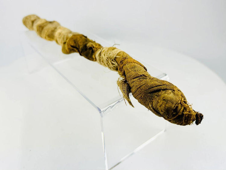 Ancient Egyptian Mummified Crocodile | X-Ray Verified | Authentic Animal Votive Offering | 664–100 BCE