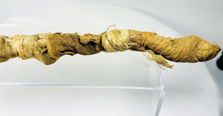 Ancient Egyptian Mummified Crocodile | X-Ray Verified | Authentic Animal Votive Offering | 664–100 BCE