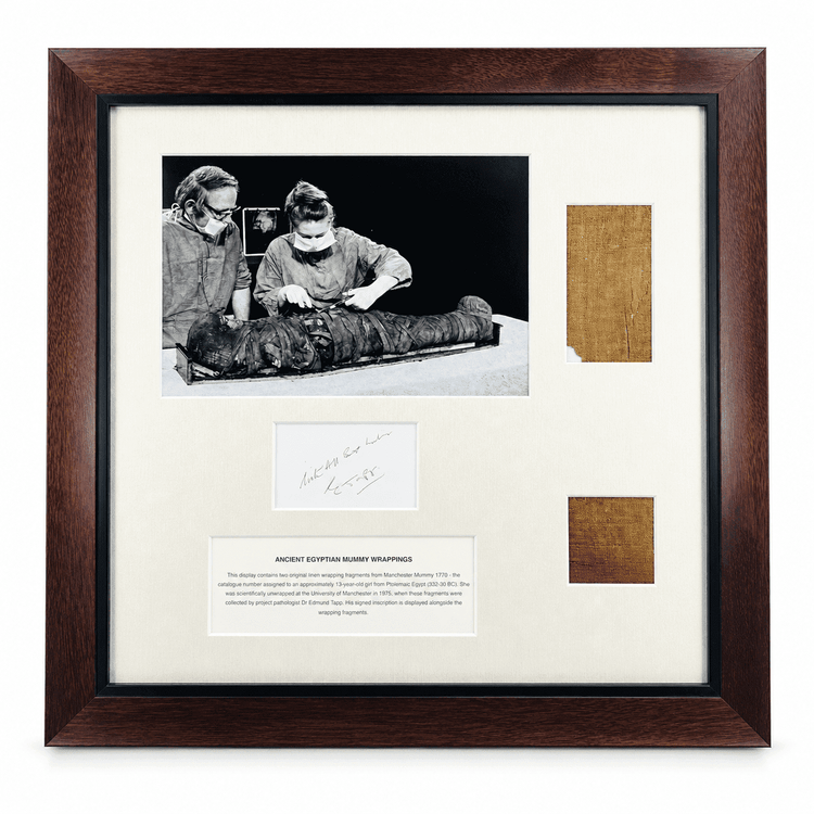 Dark wood framed Ancient Egyptian linen fragments and historical mummy research photograph display