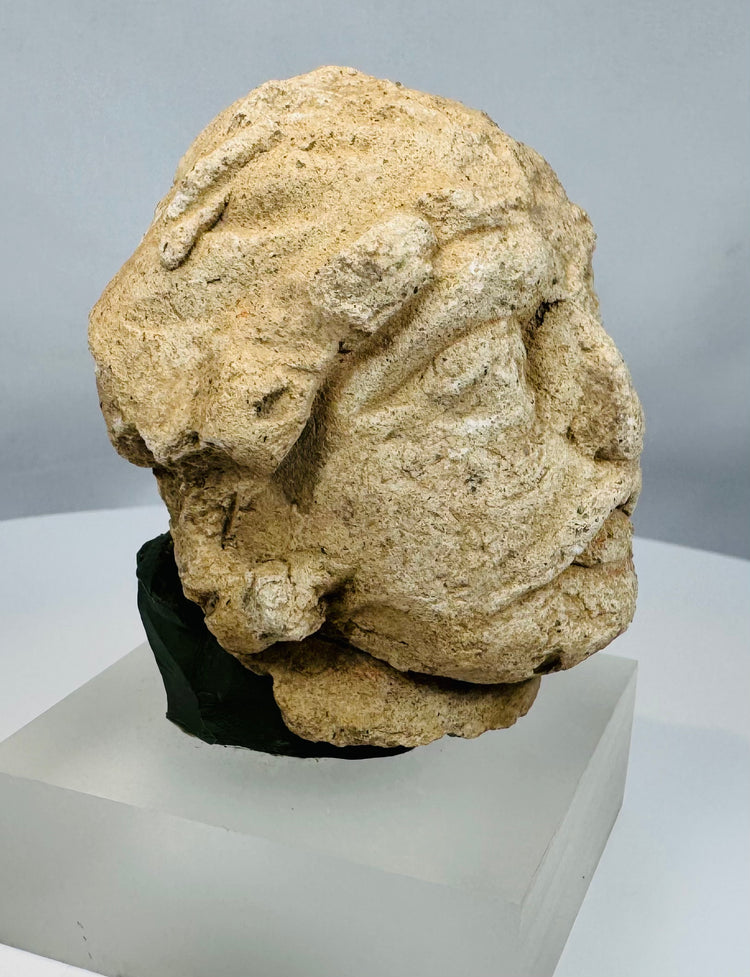 Ancient Gandhara Bodhisattva head sculpture displaying characteristic facial modeling and the influence of Hellenistic artistic traditions.