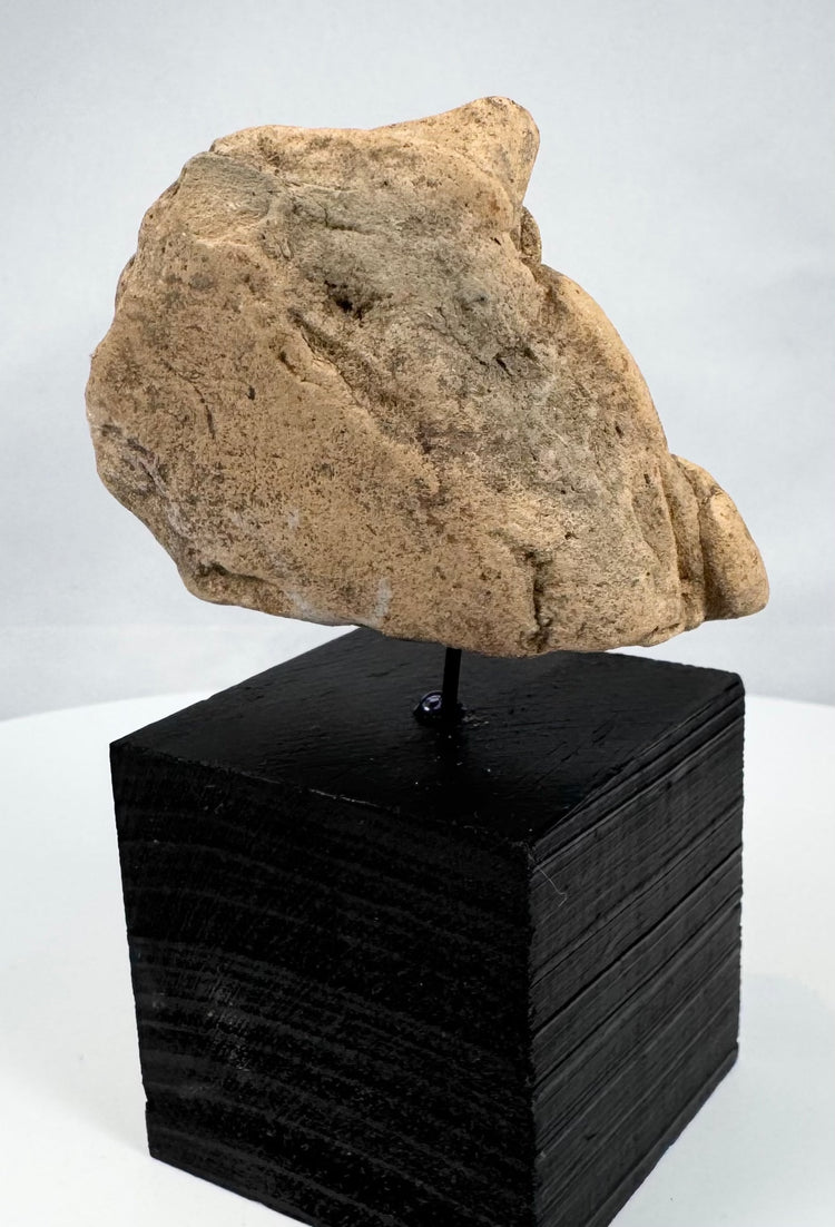 Mesoamerican stone head fragment, circa 300 BCE–900 CE, mounted for display