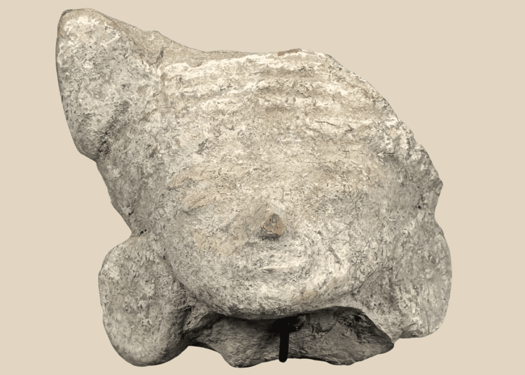 Pre-Columbian terracotta head fragment depicting a stylized human face with closed eyes and large ear ornaments.