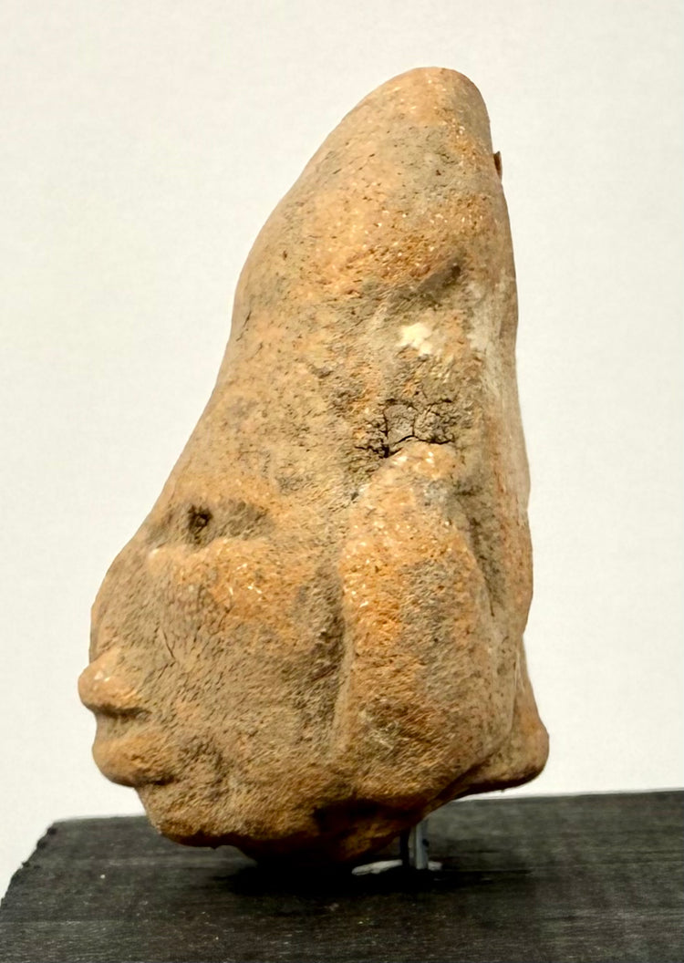 Side profile of pre-Columbian terracotta head highlighting steep cranial slope and earthy orange-brown ceramic