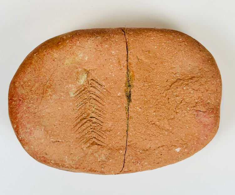 Bronze Age clay tablet with structured columns of cuneiform text